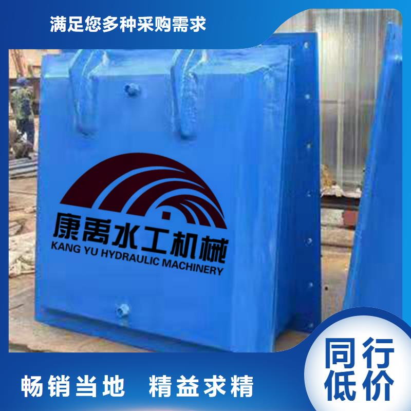 开封 闸门高品质现货销售