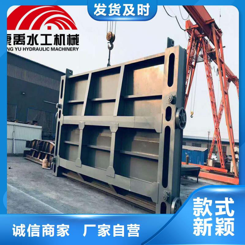 随州 闸门您身边的厂家