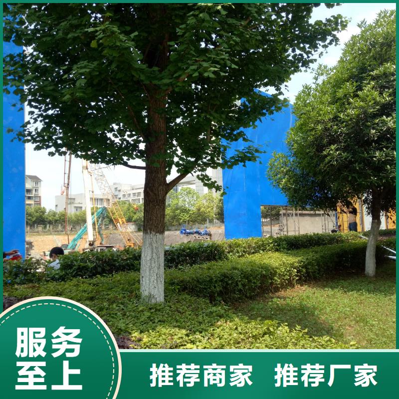 随州 广告素材实力优品