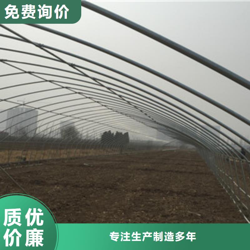 大棚管H型钢详细参数本地范围厂家