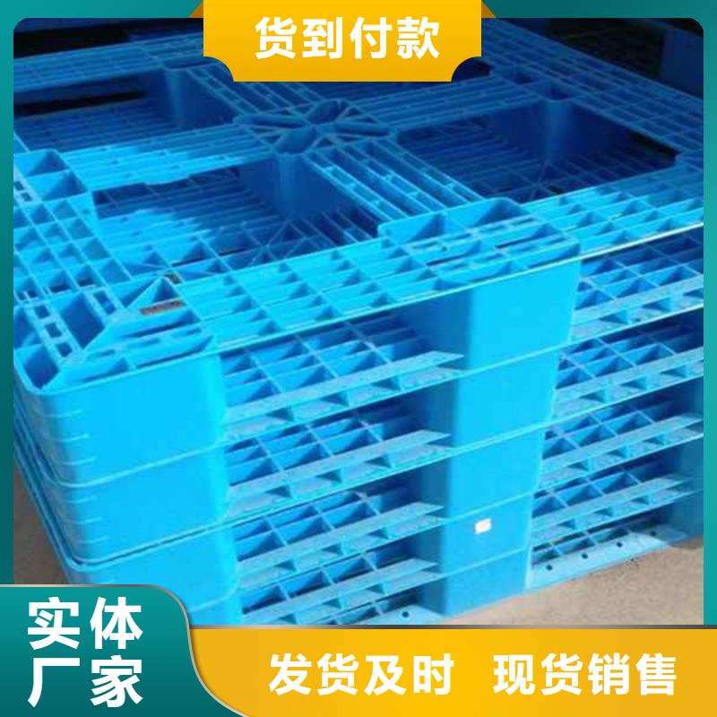 塑料托盘 塑料托盘厂家设备齐全支持定制多年实力厂家