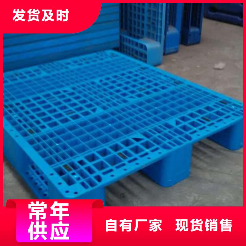 鹤壁塑料托盘塑料托盘销售本地厂家值得信赖