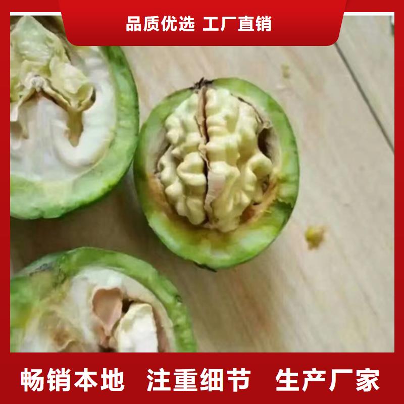 红河核桃苗苹果苗支持定制加工