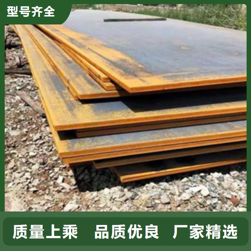 合金板【低合金板价格】品质做服务本市公司