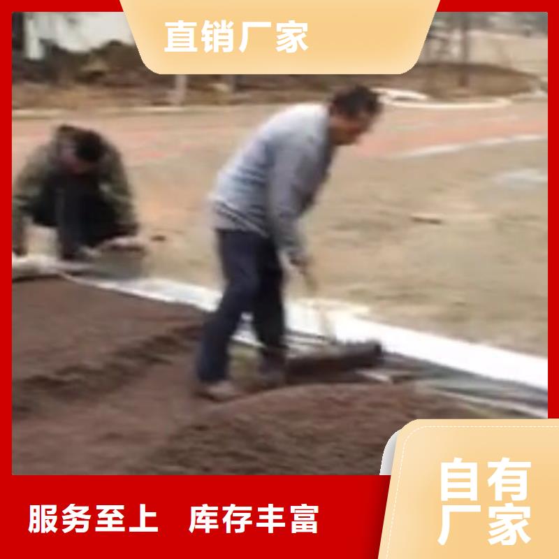 黑河透水水泥压印地坪从源头保证品质