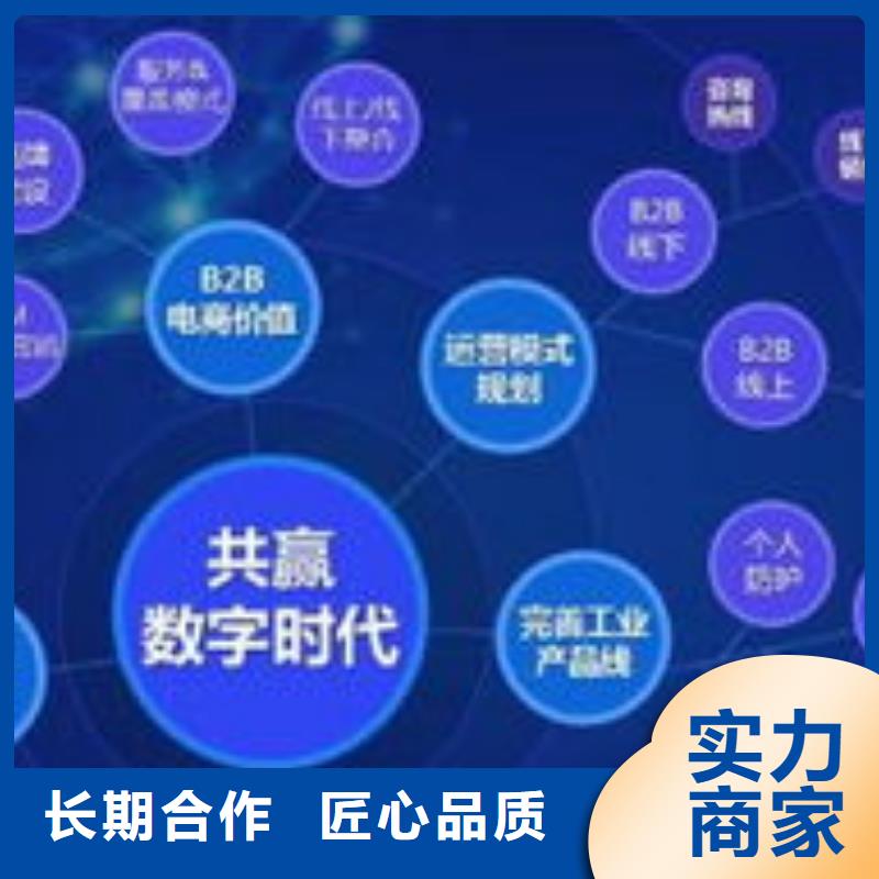 马云网络b2b平台销售精英团队靠谱商家