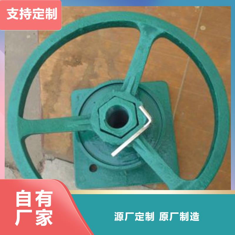 启闭机 景观钢制闸门专业生产N年当地公司