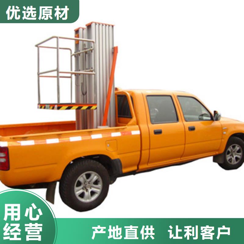 三门峡车载升降机升降平台精心打造