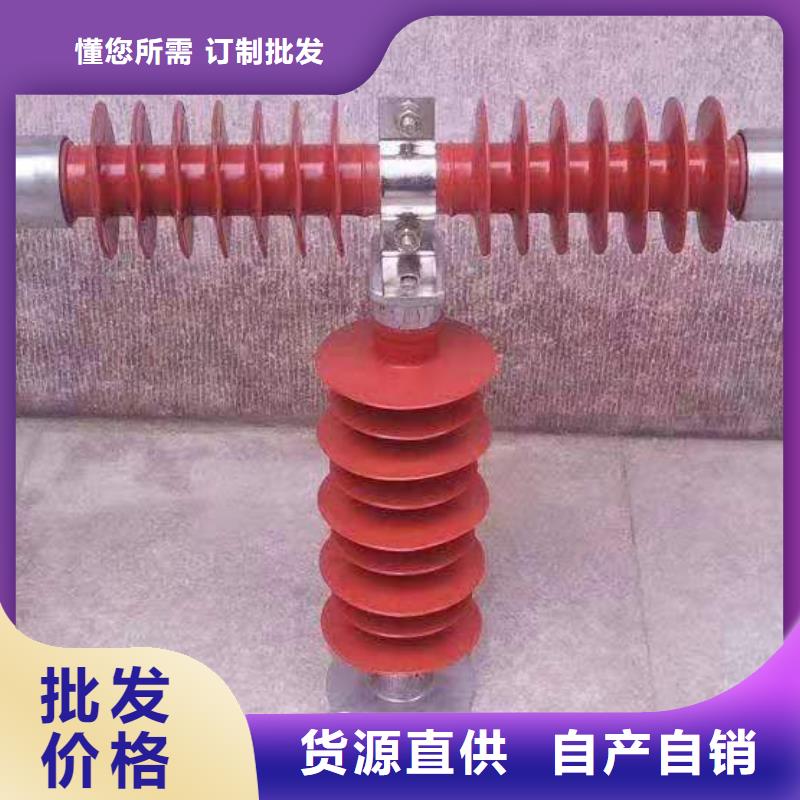 高压熔断器工地箱单开门检验发货品牌大厂家