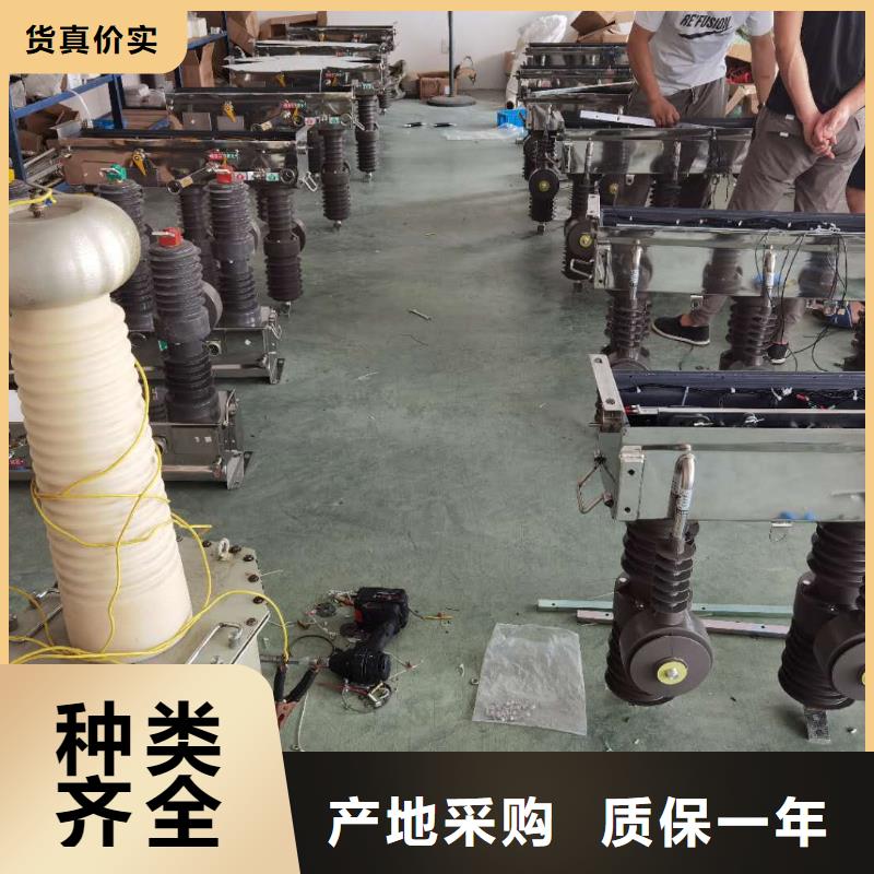真空断路器高压限流熔断器精益求精本土厂家
