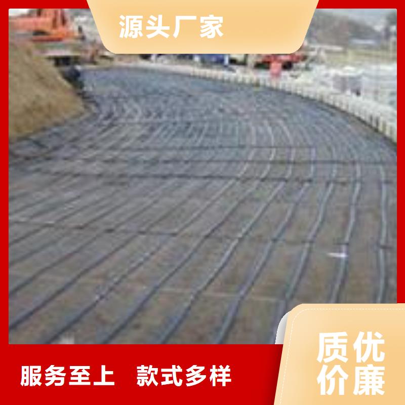 单向塑料土工格栅双向塑料土工格栅懂您所需选择我们没错