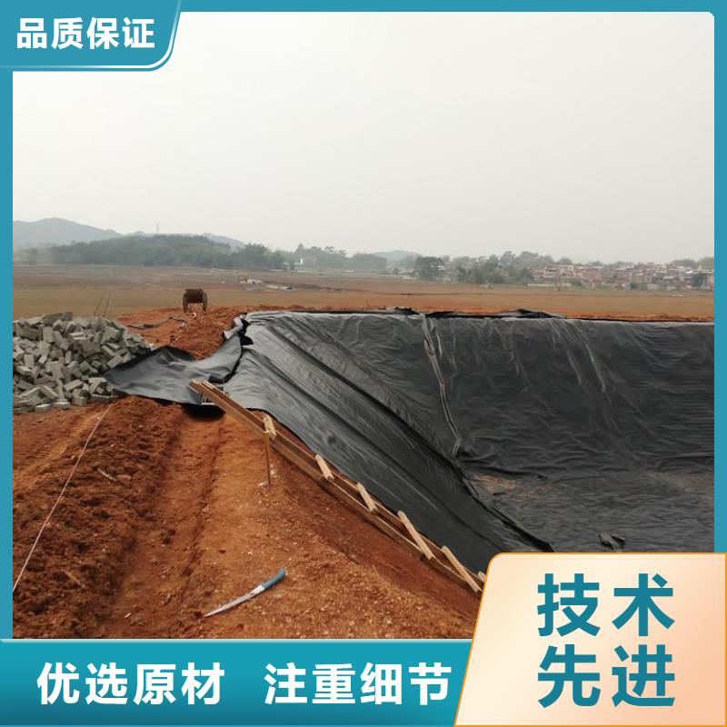 土工膜双向拉伸塑料格栅颜色尺寸款式定制诚信经营