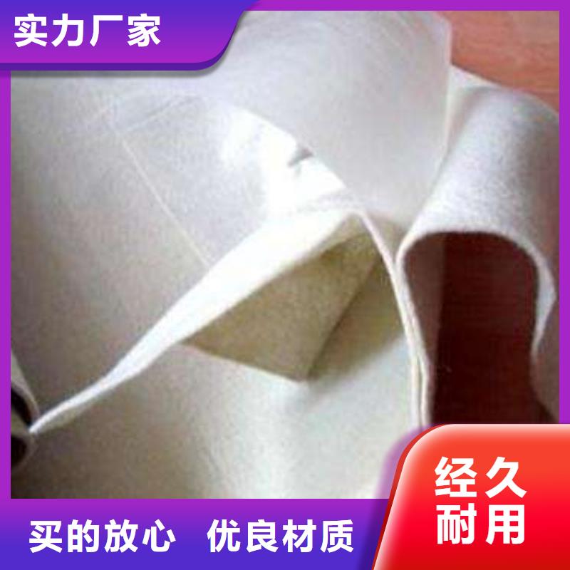 防城港复合土工膜-塑料土工滤网实体厂家支持定制