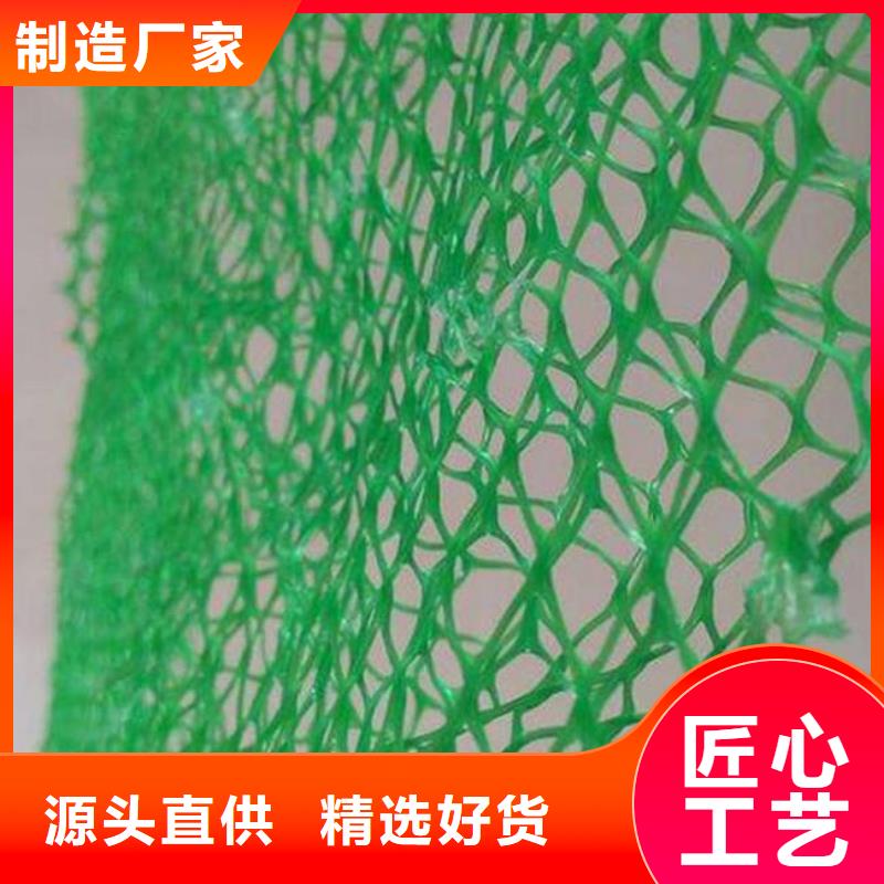 黄石三维植被网防渗膜厂家新品