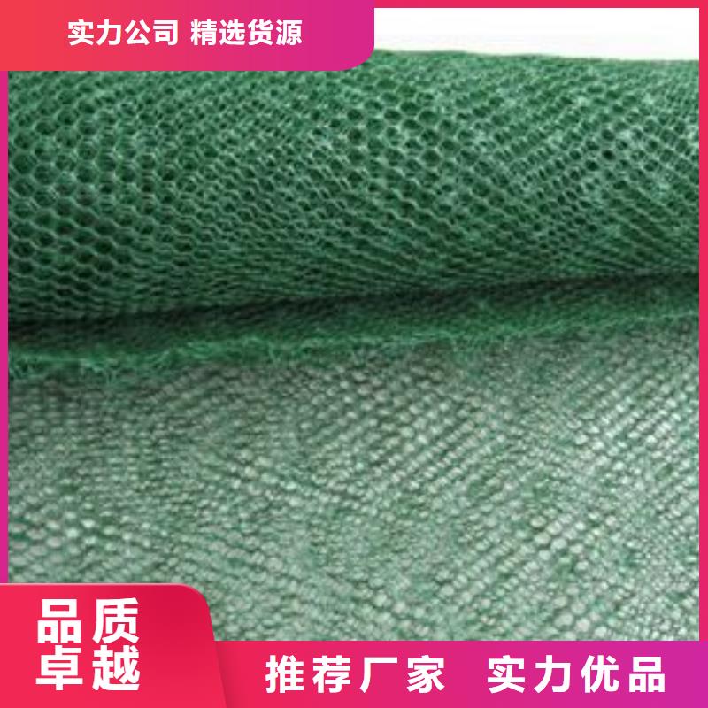 三维植被网-涤纶土工格栅现货直发实体厂家