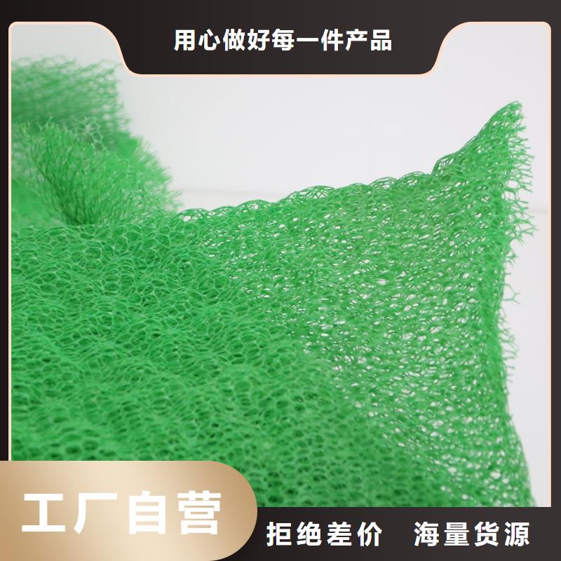 岳阳三维植被网土工布好产品不怕比