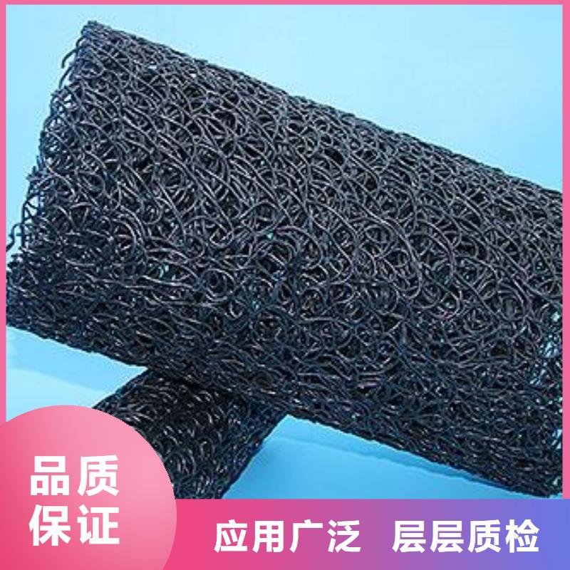 来宾【塑料盲沟】三维植被网精挑细选好货