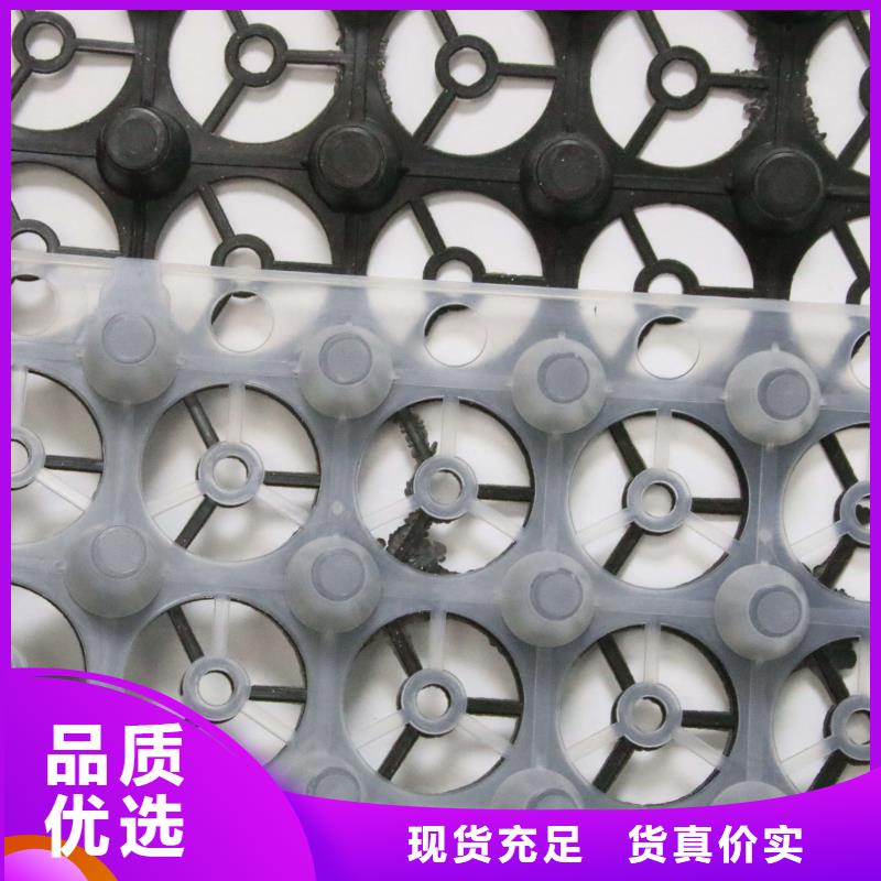 排水板城建土工膜厂家案例产品细节
