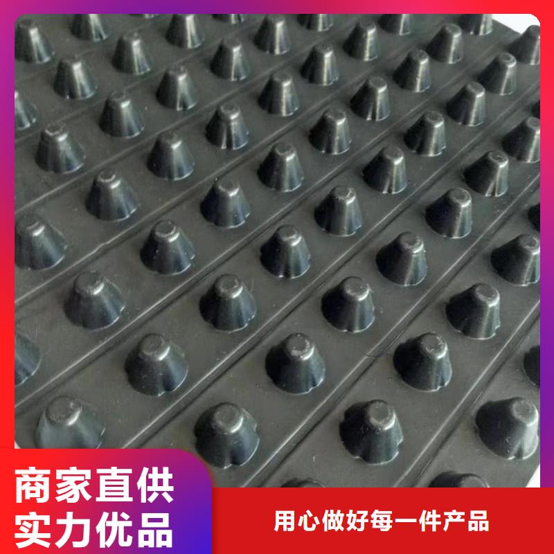 排水板凸结点钢塑土工格栅诚信商家服务热情满足多种行业需求