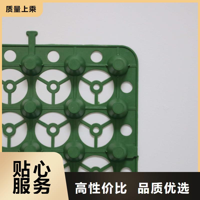 十堰排水板,单向塑料土工格栅满足多种行业需求