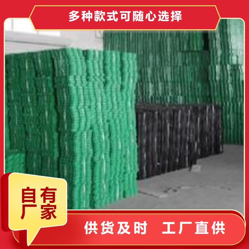 【贵港植草格-PP焊接土工格栅实拍展现】