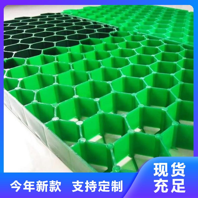 株洲【植草格】塑料土工滤网品质做服务