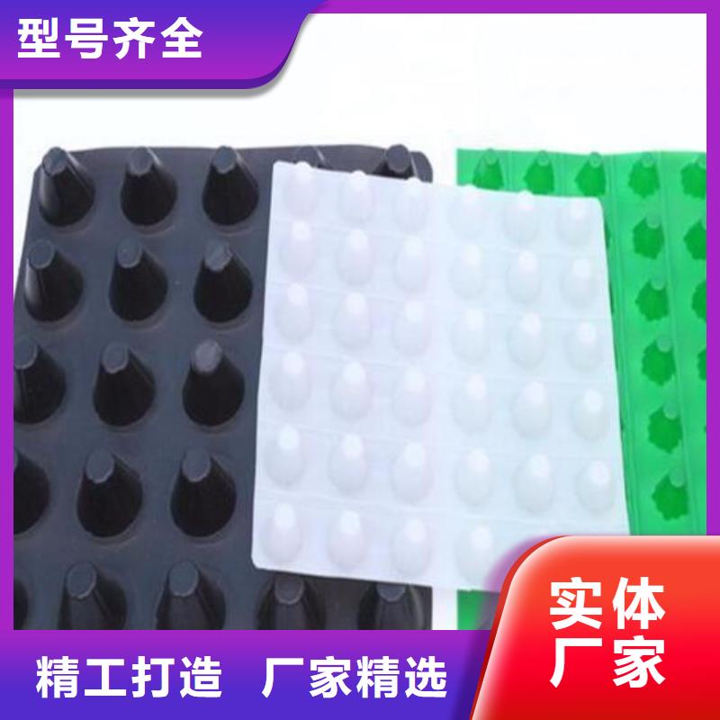 【衡阳塑料排水板_玻纤土工格栅24小时下单发货】
