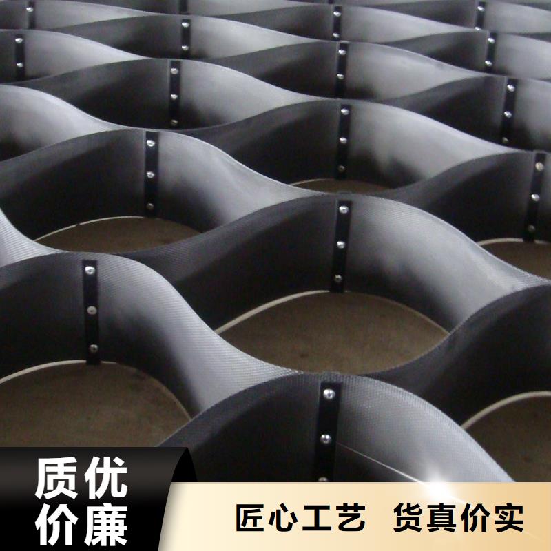 【西藏土工格室三维土工网垫种类多质量好】