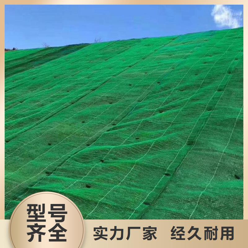 三维植被网_pp焊接土工格栅用心做好细节本市货源