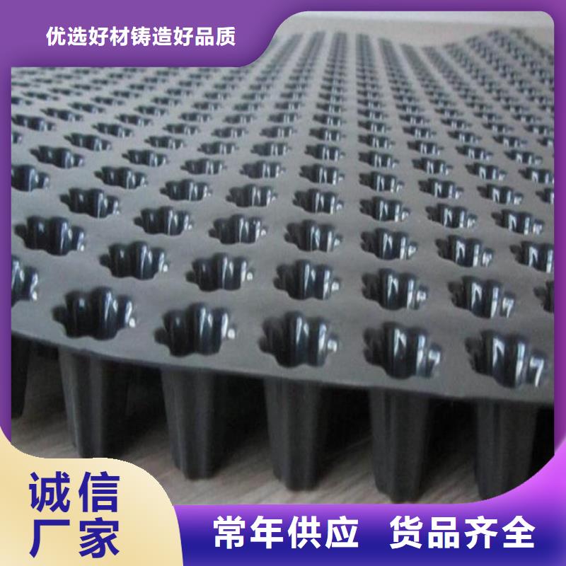 蓄排水板单向塑料土工格栅大厂生产品质本地范围货源