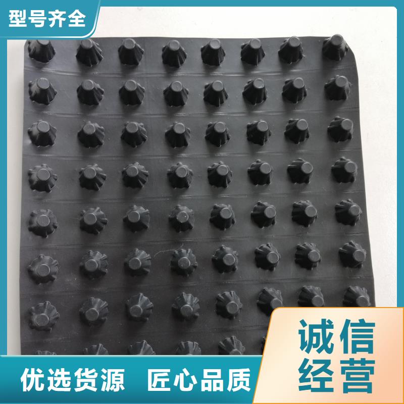 蓄排水板单向塑料土工格栅可零售可批发厂家货源稳定