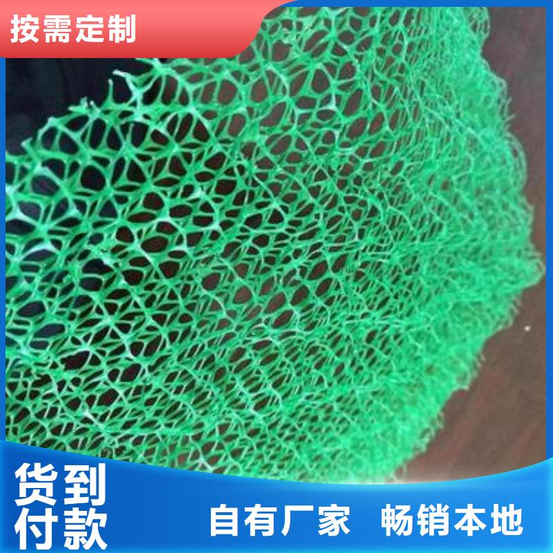 河道护坡三维植被网厂家供应当地供应商