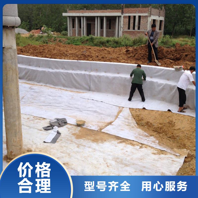 膨润土防水毯_质量稳定_价格公道本地公司