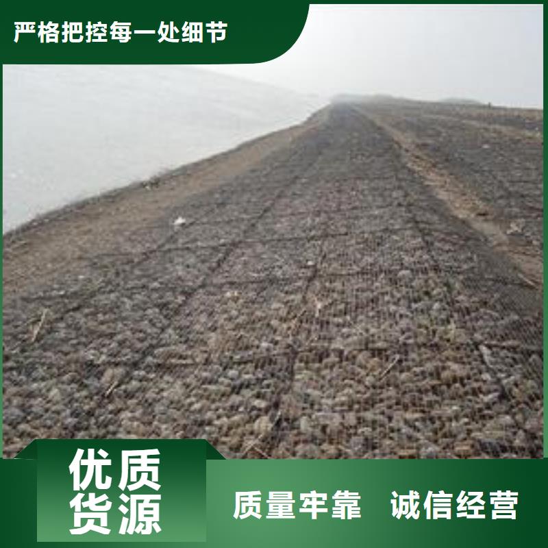 双向钢塑土工格栅促销价格双向钢塑土工格栅每平米价格同城公司