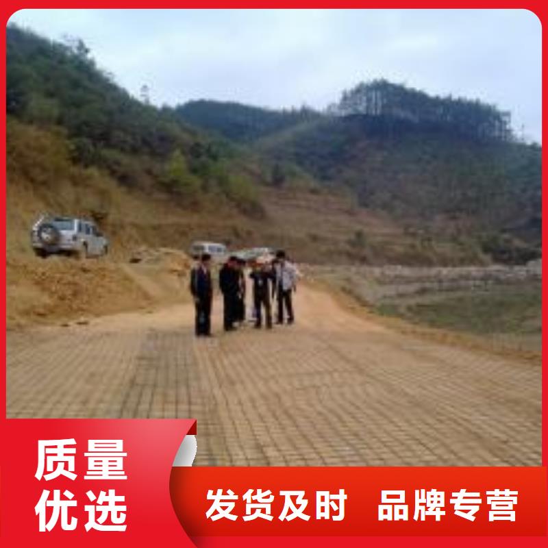 双向钢塑土工格栅厂家直销-企业商讯当地经销商