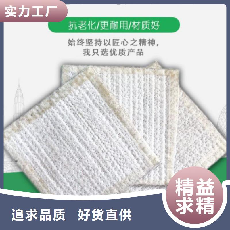 防水毯【双向塑料土工格栅】精品优选当地厂家