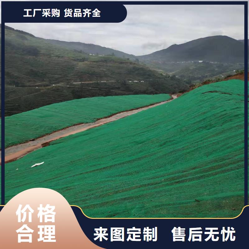 三维植被网_单向塑料土工格栅多年行业经验订制批发