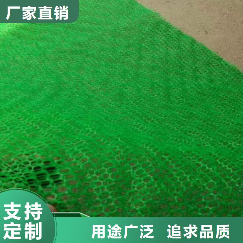 三维植草网——三维植被网批发厂家_欢迎咨询同城生产商