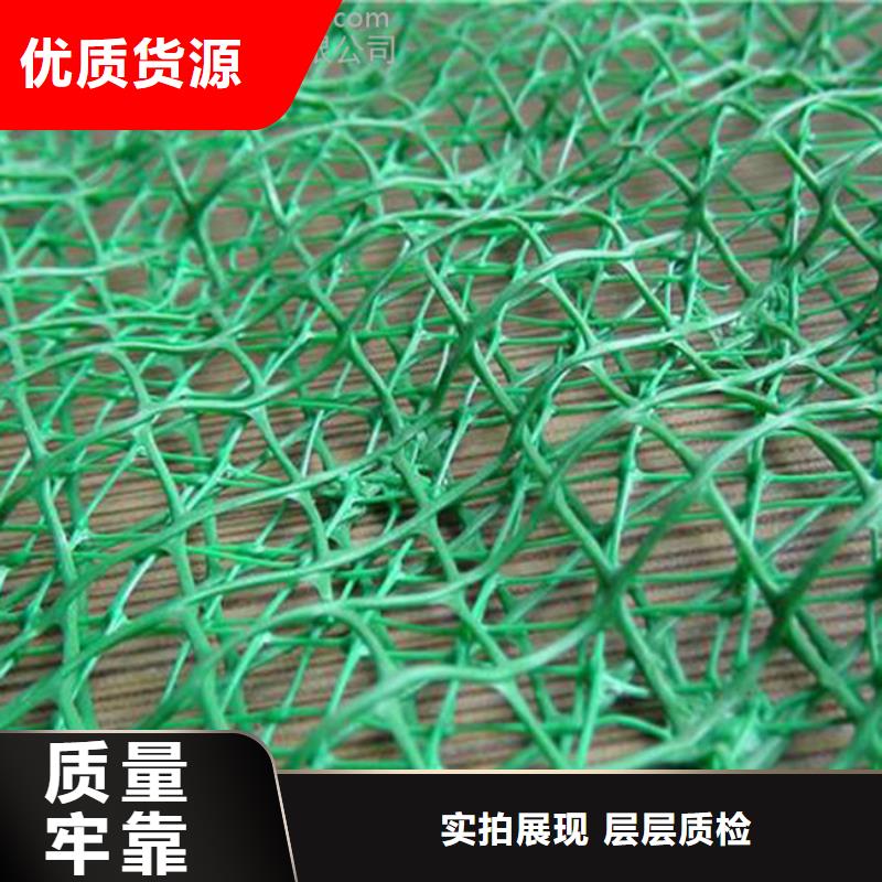 三维植被网涤纶土工格栅敢与同行比价格附近供应商