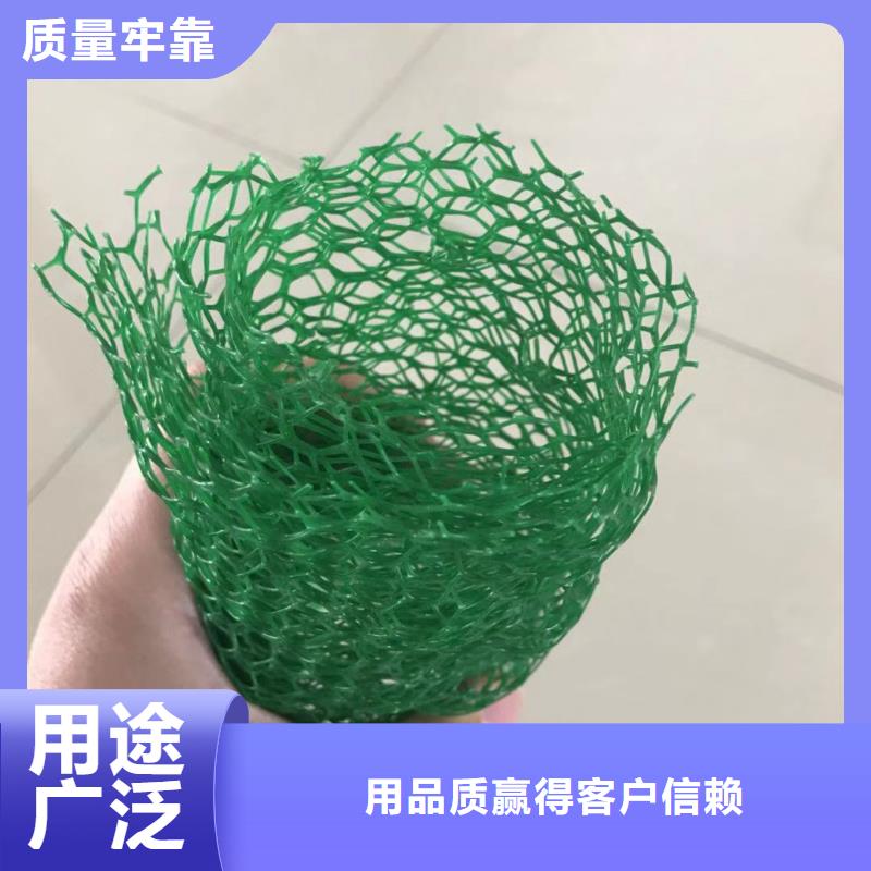 三维植被网护坡价格——批发厂家合作共赢