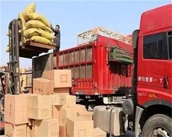 龙江发货去上海市南汇区物流公司（货运部）专线价格优惠