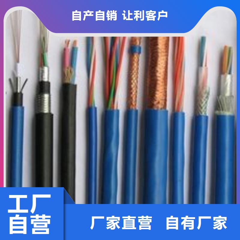 沧州电线电缆PTYA23电缆工厂自营