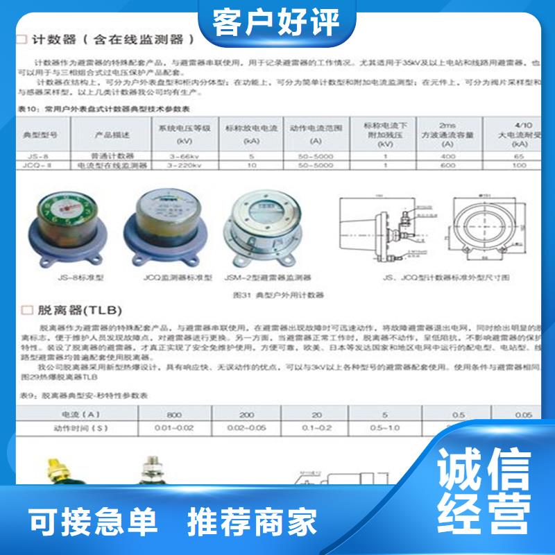 【计数器】-氧化锌避雷器销售客户好评附近货源