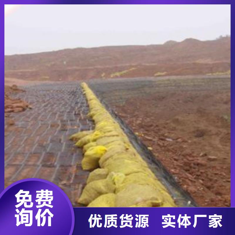 单向塑料格栅 塑料土工格栅做工精细周边品牌