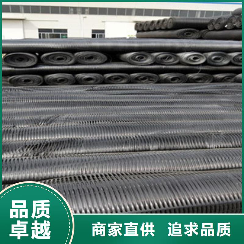 【单向塑料格栅,三维植被网每个细节都严格把关】现货齐全售后无忧