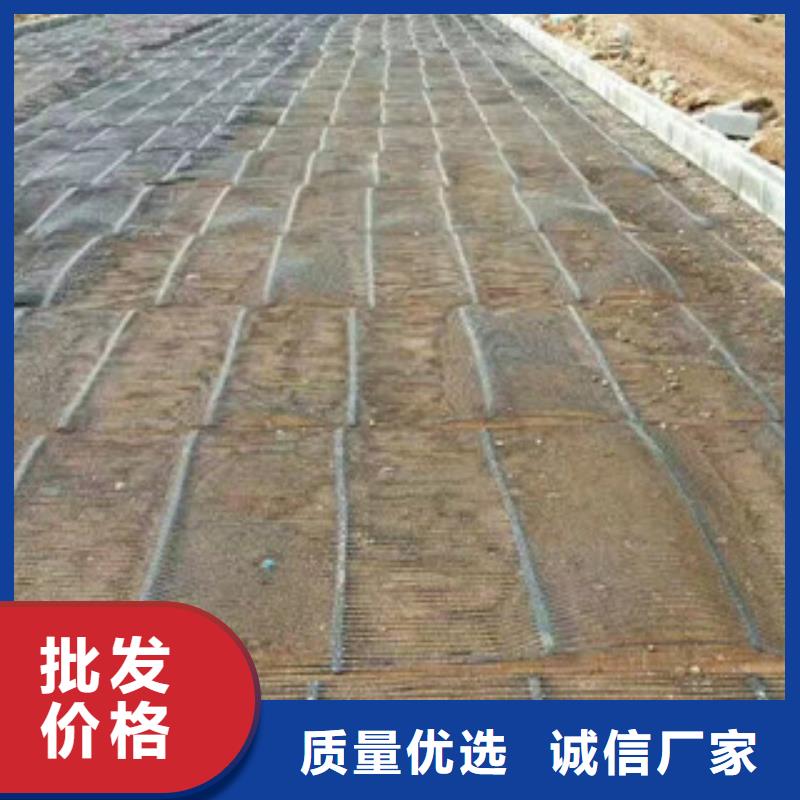 单向塑料格栅,钢塑土工格栅常年出售同行低价