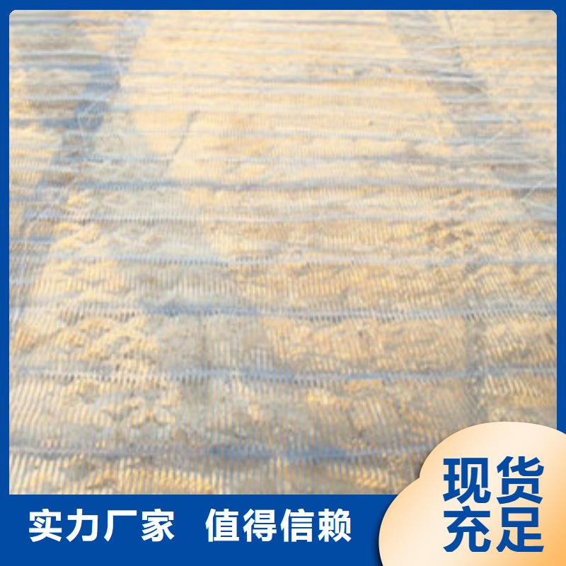 甘肃单向塑料格栅防裂贴抗裂贴细节之处更加用心