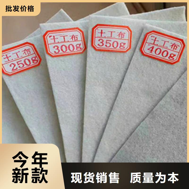 土工布_三维植被网选择大厂家省事省心一站式供应厂家