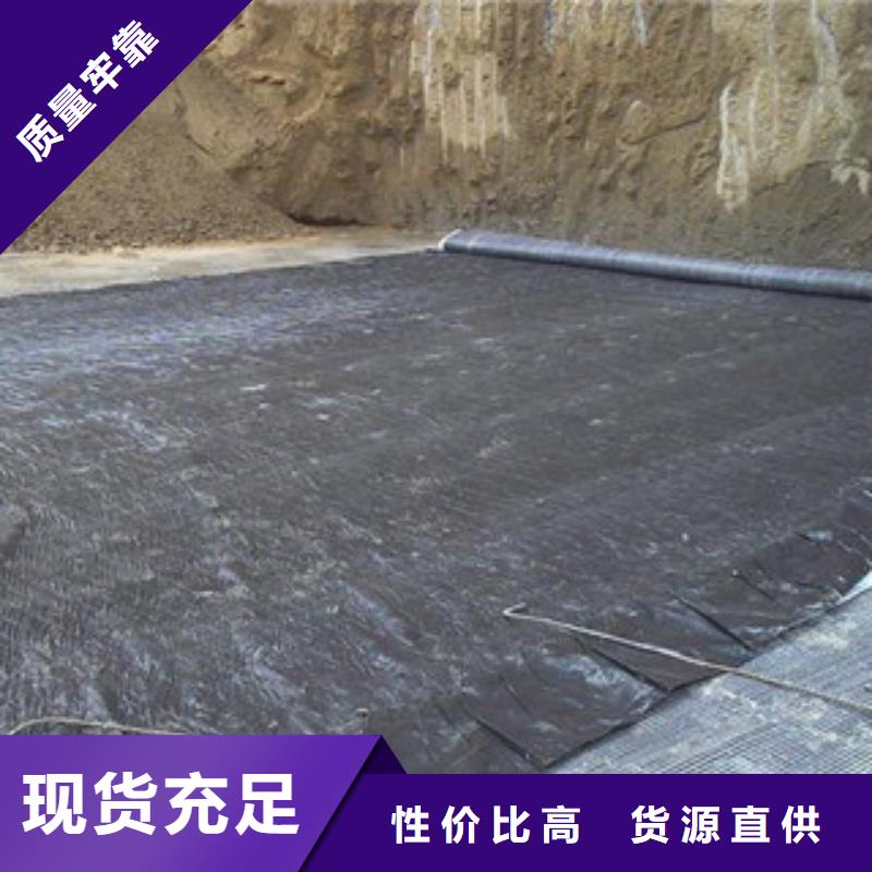 膨润土防水毯三维植被网好品质选我们辖区内制造商
