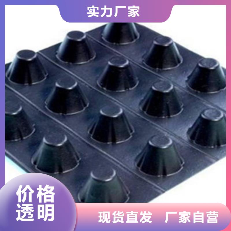 塑料排水板,塑料土工格栅一手价格本地区服务商